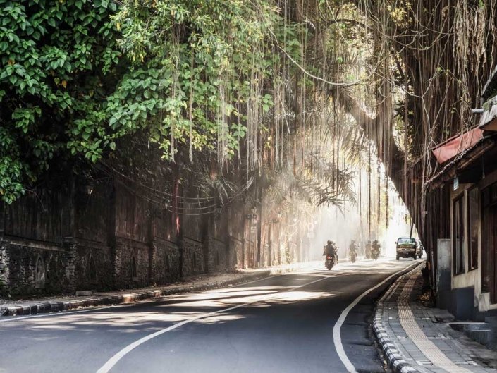 Your path to happiness