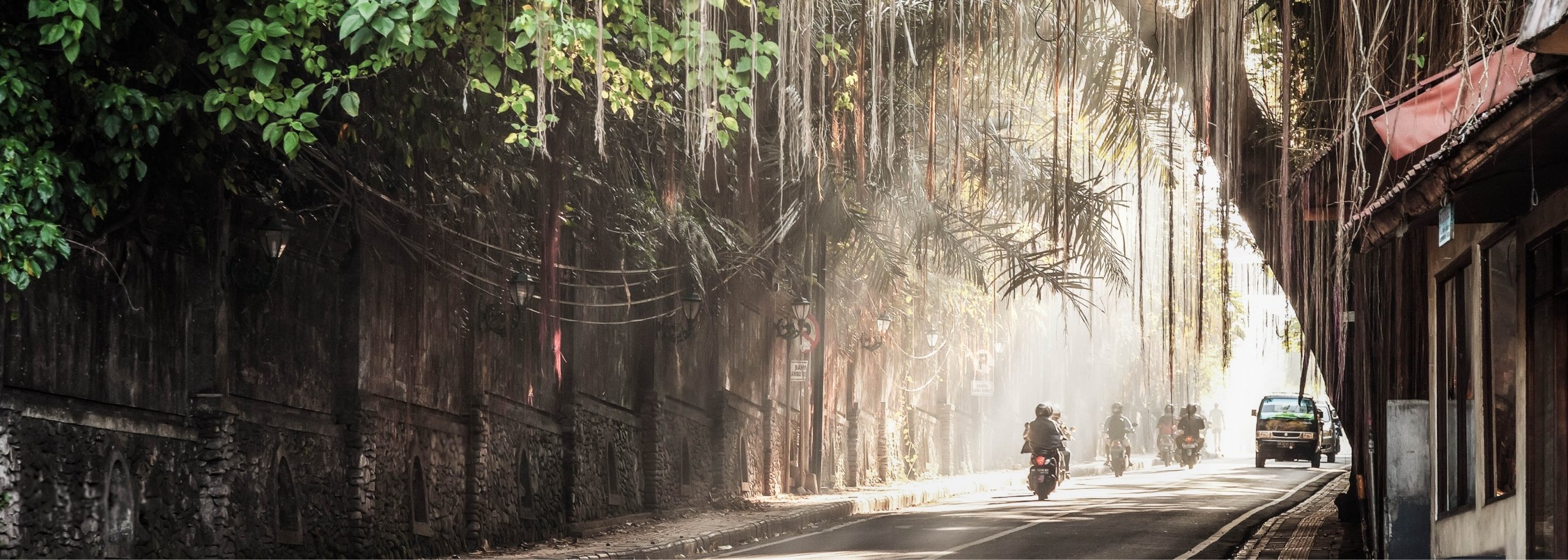 Jungle Street in Bali with Scooters and cars